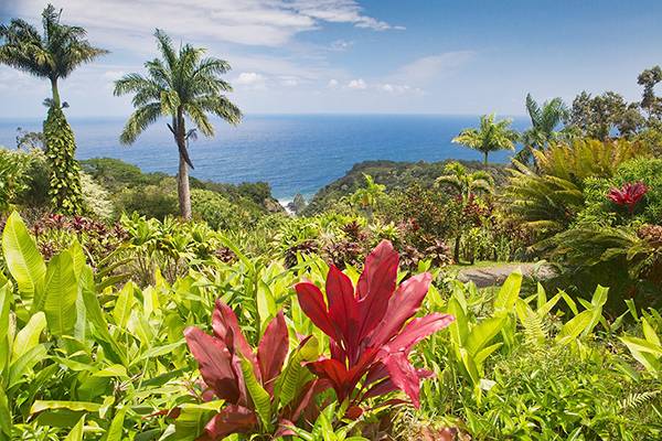 7 day cruise to hawaii from san francisco