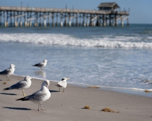 Jacksonville